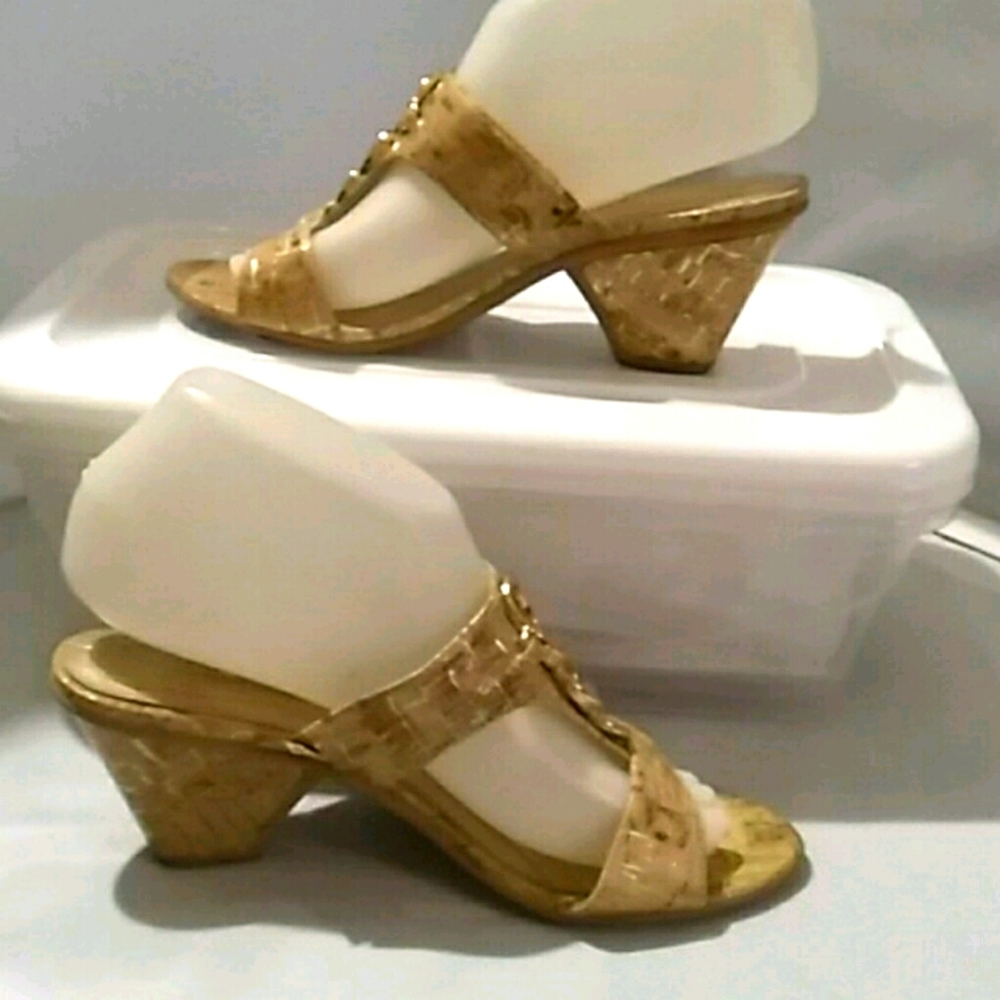 Comfort Plus Predictions